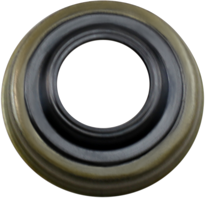 Shock Seal — Seal