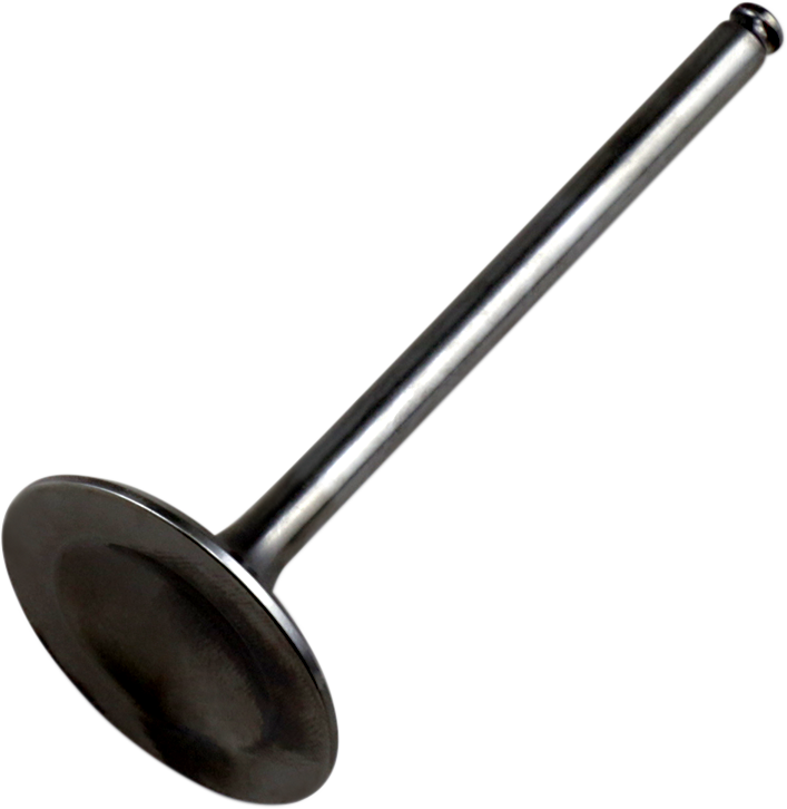 Replacement Valve