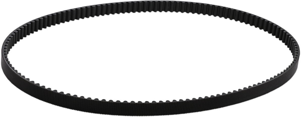 Rear Drive Belt