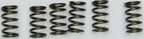 Redline Clutch Springs