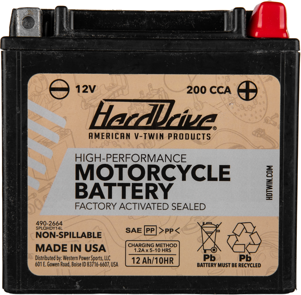 AGM Sealed Battery