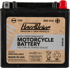 AGM Sealed Battery