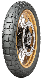 Trailmax Raid Tire