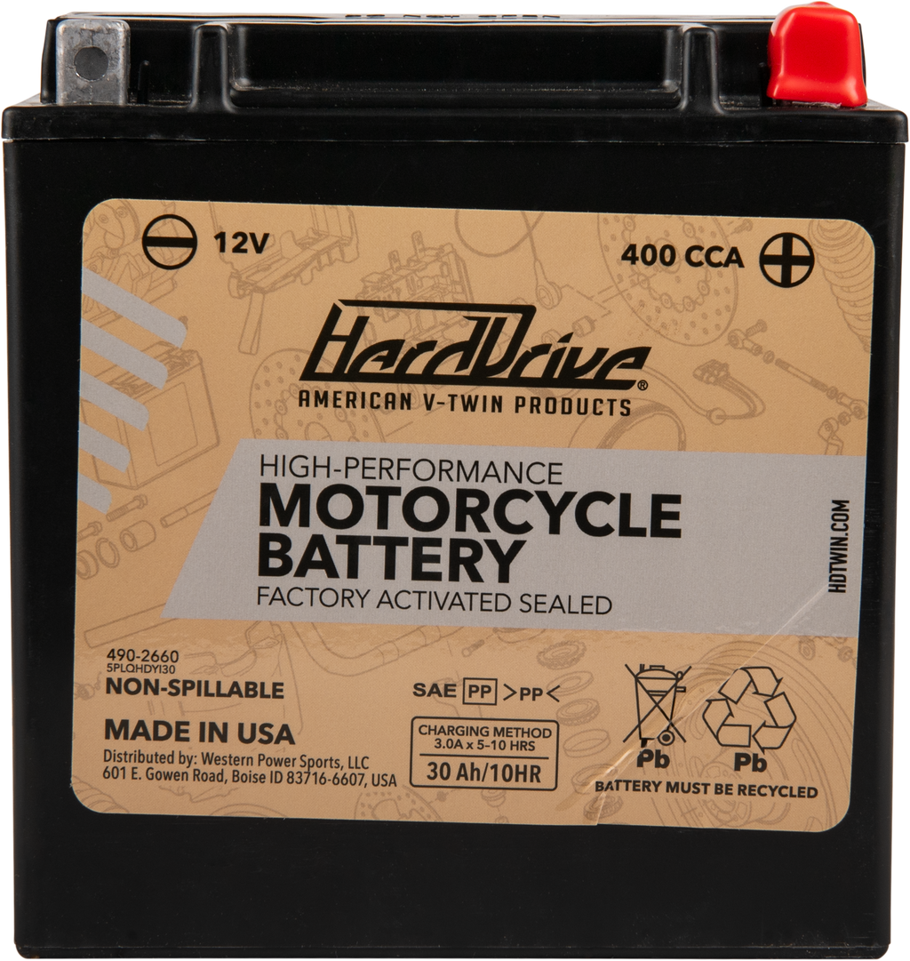 AGM Sealed Battery