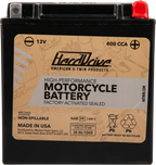 AGM Sealed Battery