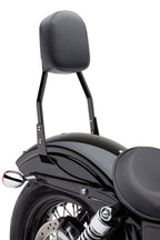 Square Sissy Bar