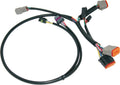 Ignition/EFI Wiring Harnesses