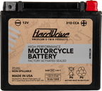 AGM Sealed Battery