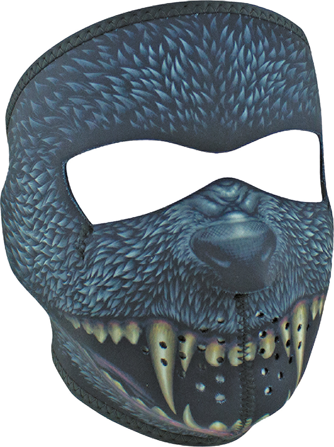 Full Face Mask