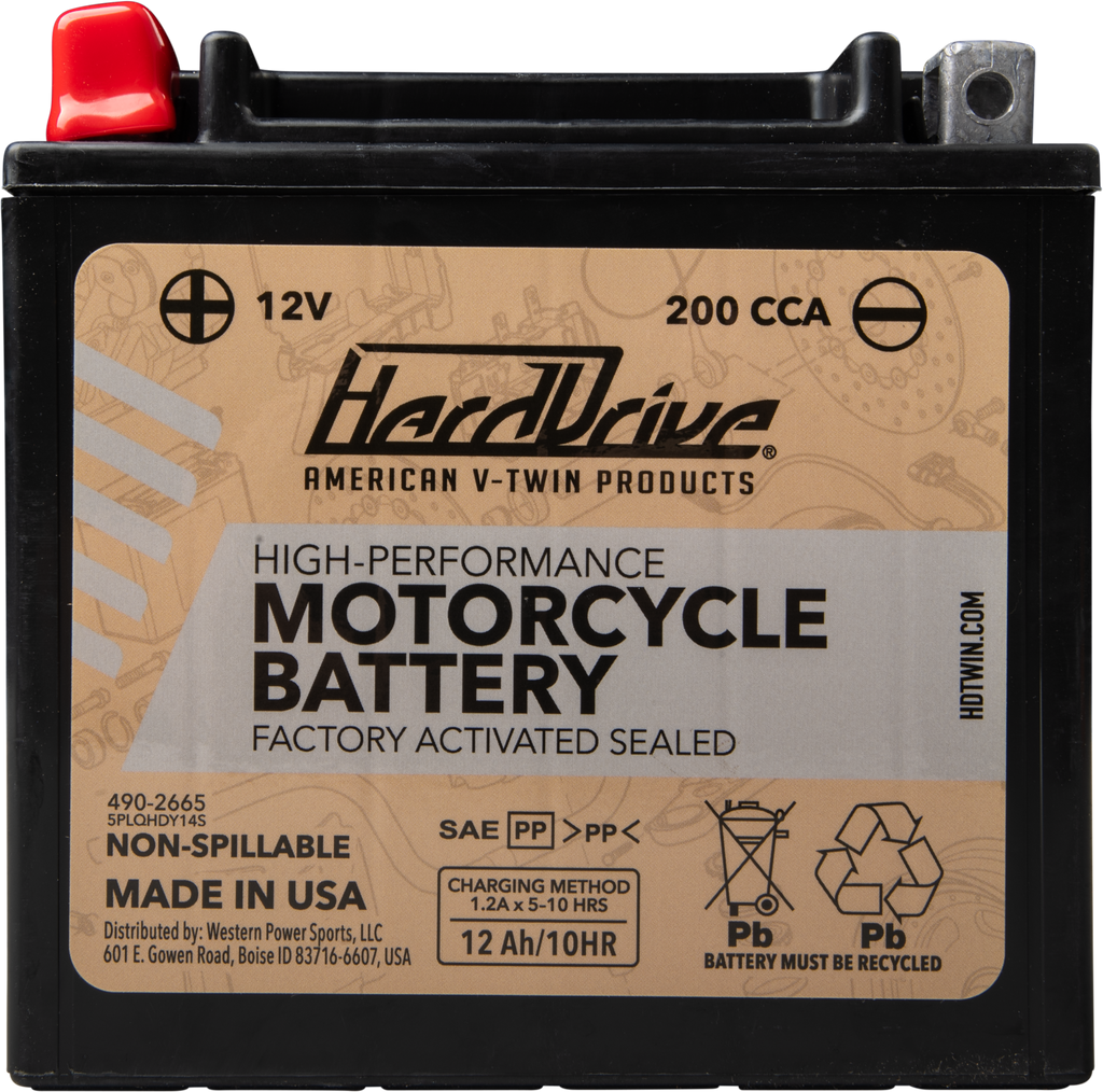 AGM Sealed Battery
