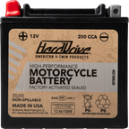 AGM Sealed Battery