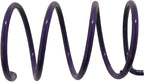Driven Clutch Spring