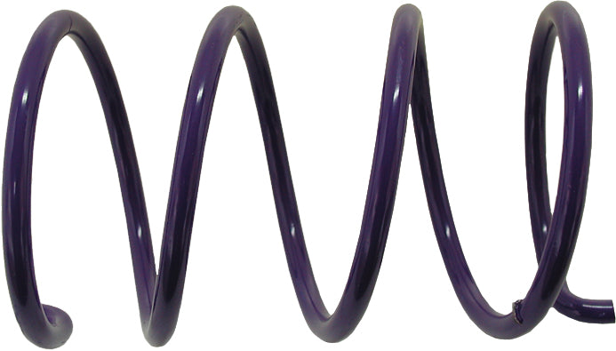 Driven Clutch Spring