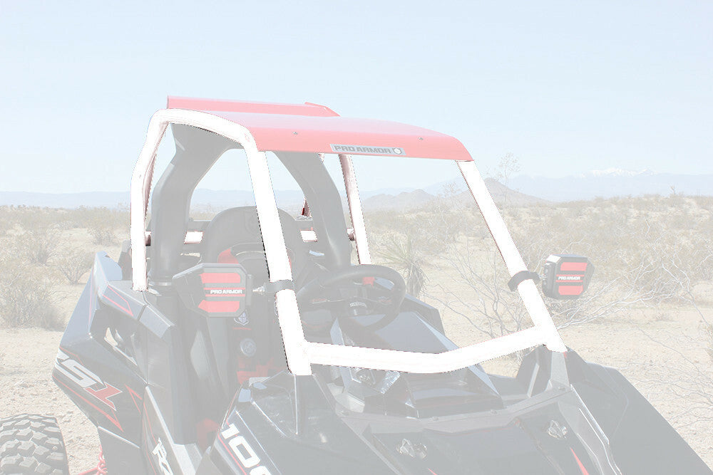 RS1 Solo Cage