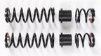 Dual Rate Spring Kit